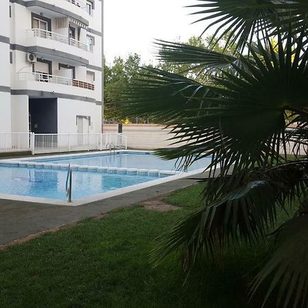 Appartement Avec Piscine San Vicente Raspeig Dış mekan fotoğraf
